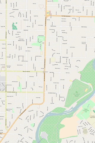 Detailed Editable Vector Map of  Carmichael
