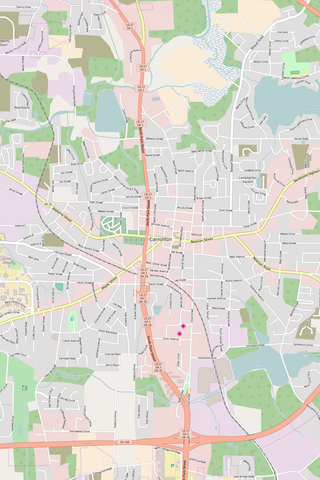 Detailed Editable Vector Map of  Carrollton