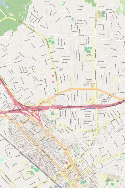 Detailed Editable Vector Map of  Castro Valley