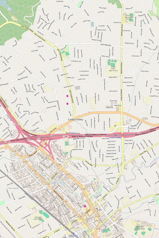 Detailed Editable Vector Map of  Castro Valley