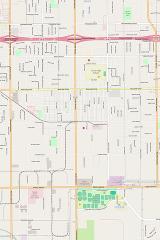 Detailed Editable Vector Map of  Chino