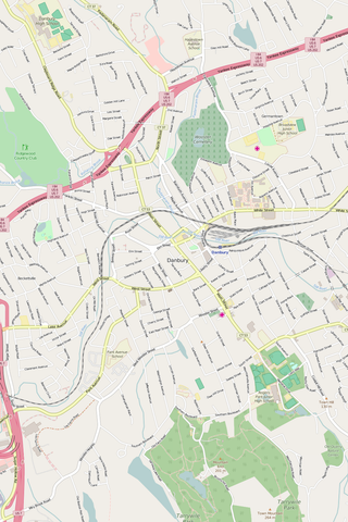 Detailed Editable Vector Map of  Danbury