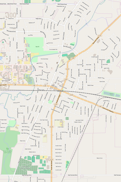 Detailed Editable Vector Map of  DeKalb