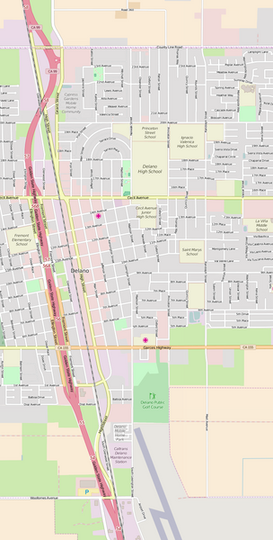 Detailed Editable Vector Map of  Delano