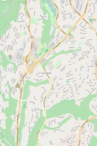 Detailed Editable Vector Map of  Laguna Niguel