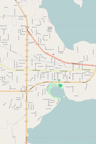 Detailed Editable Vector Map of  Leesburg