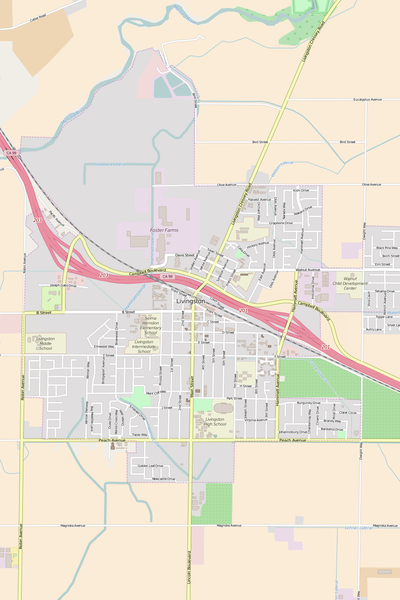 Detailed Editable Vector Map of  Livingston