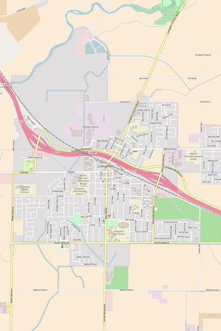 Detailed Editable Vector Map of  Livingston