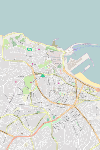 Editable Vector City Map Illustrator