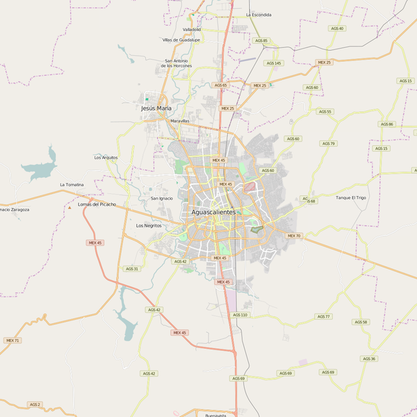 Editable City Map of Aguascalientes