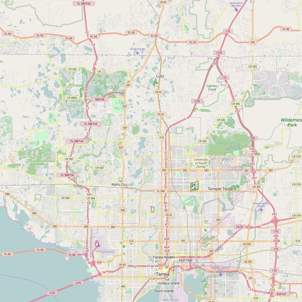 Editable City Map of Lake Magdalene, FL